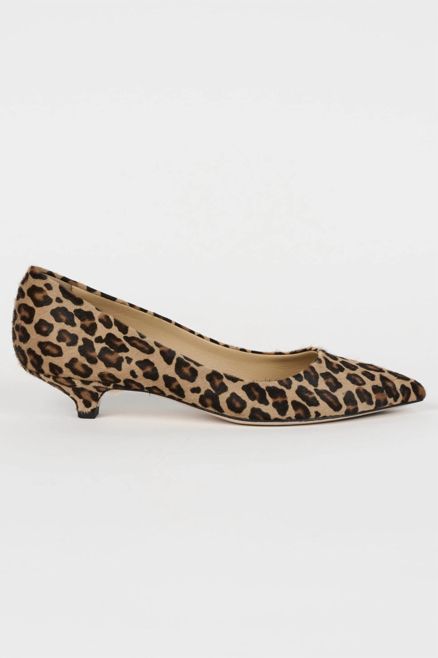 Women's Kitty Pointy Heel